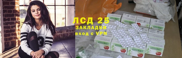 прущие грибы Магадан