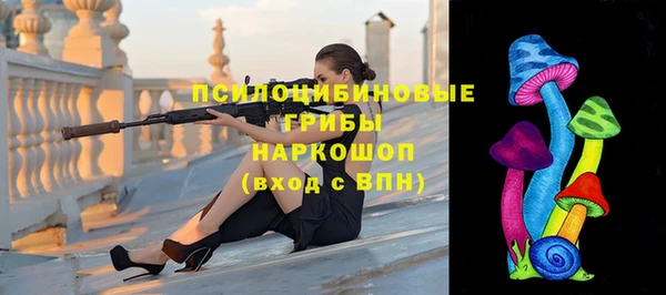 прущие грибы Магадан