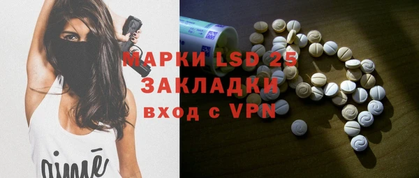 ГАЛЛЮЦИНОГЕННЫЕ ГРИБЫ Магас