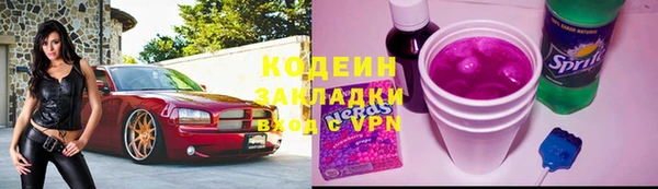 прущие грибы Магадан