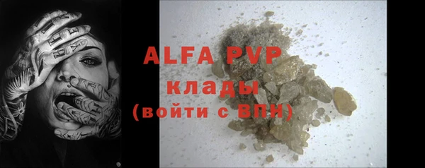прущие грибы Магадан