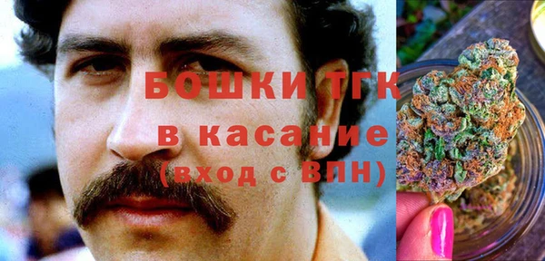 прущие грибы Магадан