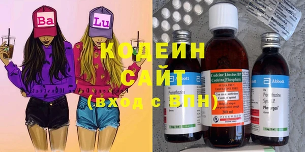прущие грибы Магадан