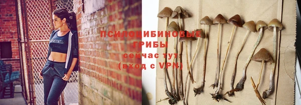 ГАЛЛЮЦИНОГЕННЫЕ ГРИБЫ Магас
