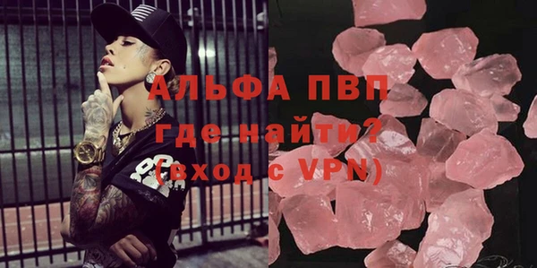 прущие грибы Магадан