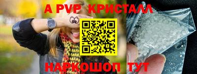 ECSTASY Кингисепп